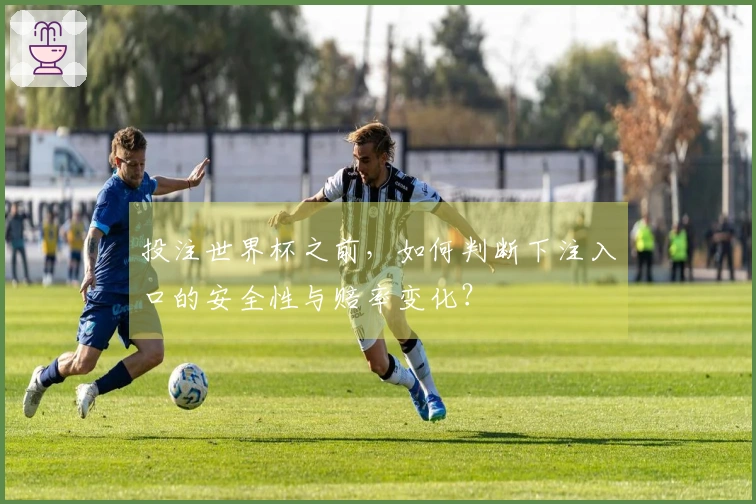 投注世界杯之前,如何判断下注入口的安全性与赔率变化?