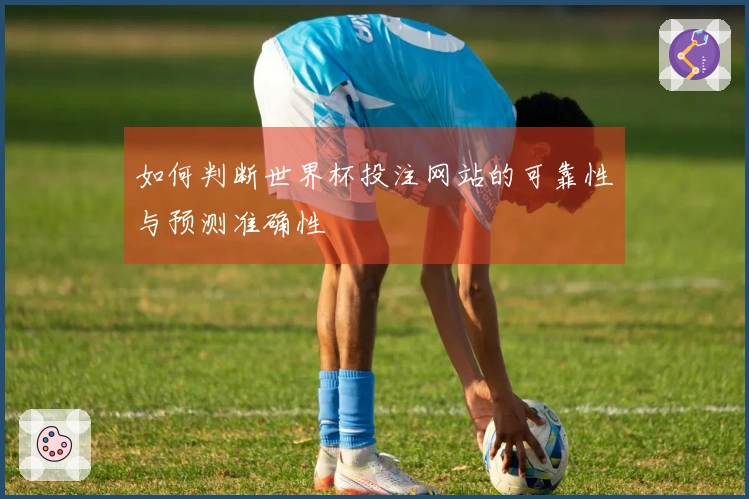 如何判断世界杯投注网站的可靠性与预测准确性