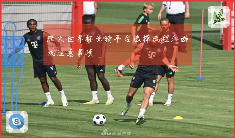 烽火世界杯竞猜平台选择流程和避坑注意事项