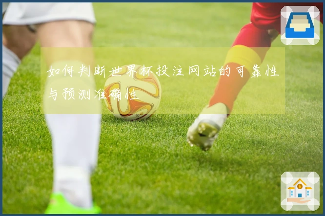 如何判断世界杯投注网站的可靠性与预测准确性